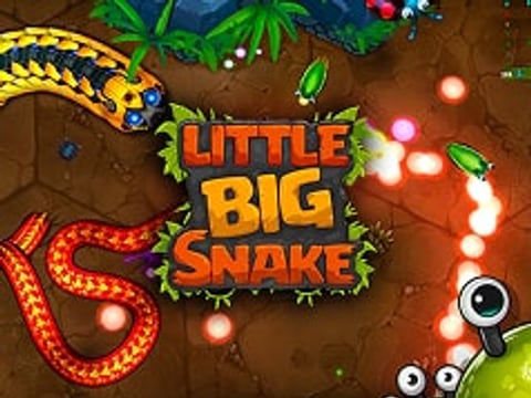 Little Big Snake